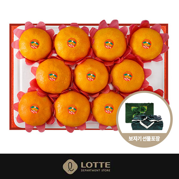 [롯데백화점] 제주특산물 레드향 선물세트 1호 [3kg/9-12과]