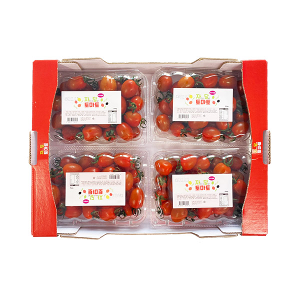 [산지직송] 자연에서 온 달콤한 스테비아 토마토(대추방울) 2kg [500g×4팩] 이미지